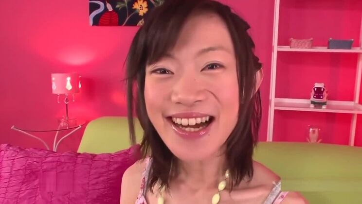 砂糖 日本のハジー