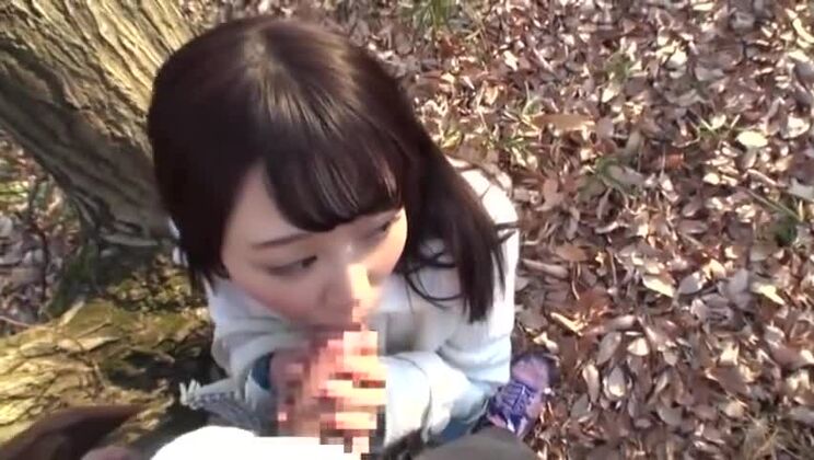 夢に出てくるような最新の日本の売春婦がJAV映画に登場