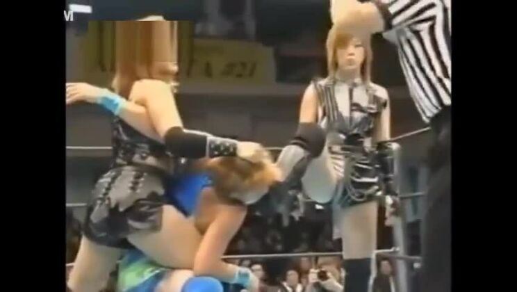 驚くべきアダルトクリップ 日本限定版