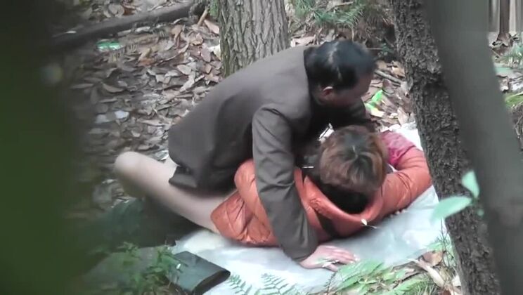 中国のダディフォレスト33